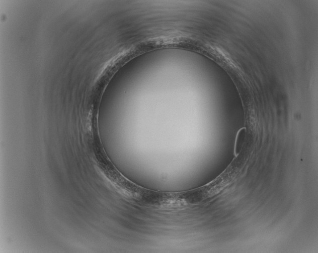 X0000069830543200606021339