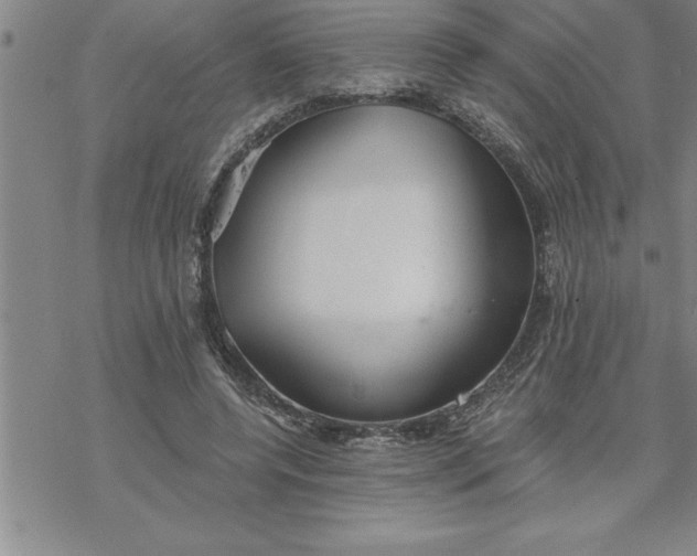 X0000069830544200606021339