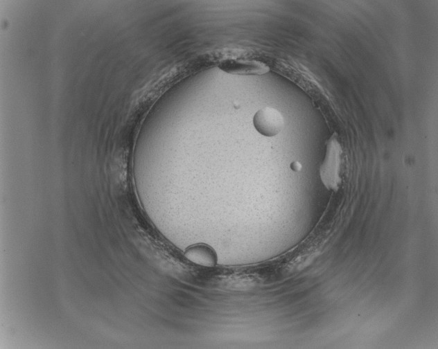 X0000069830545200606021339