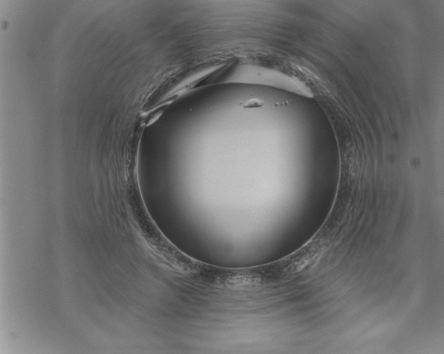 X0000069830546200606021339