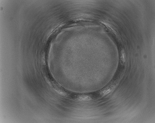 X0000069830547200606021339