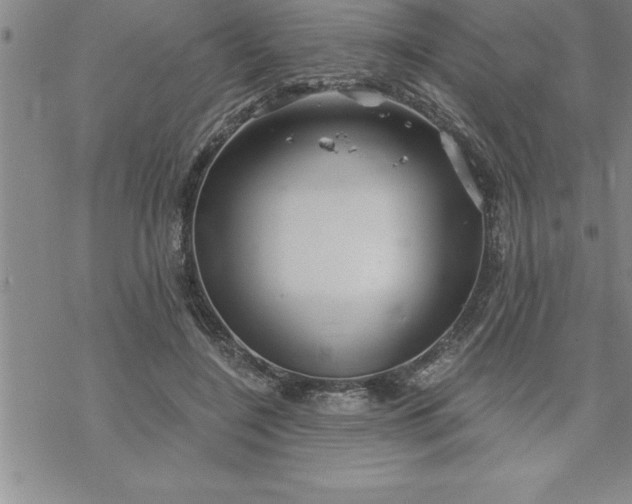 X0000069830548200606021339