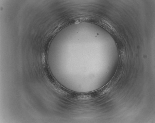 X0000069830549200606021339