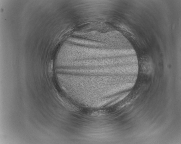 X0000069830550200606021339