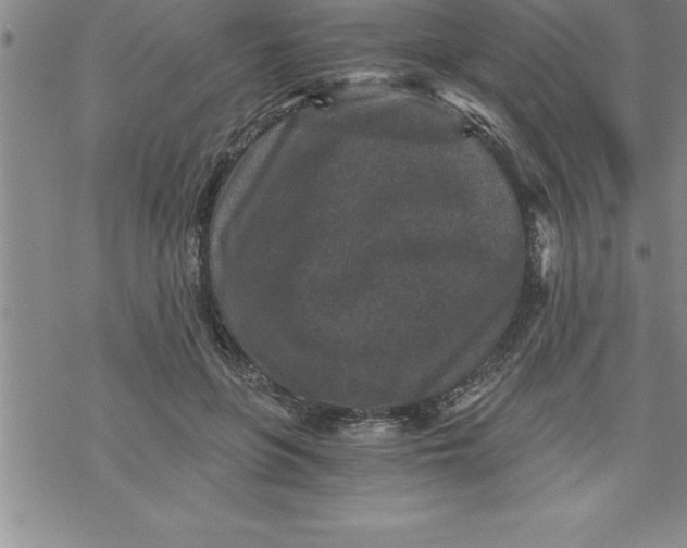 X0000069830551200606021339