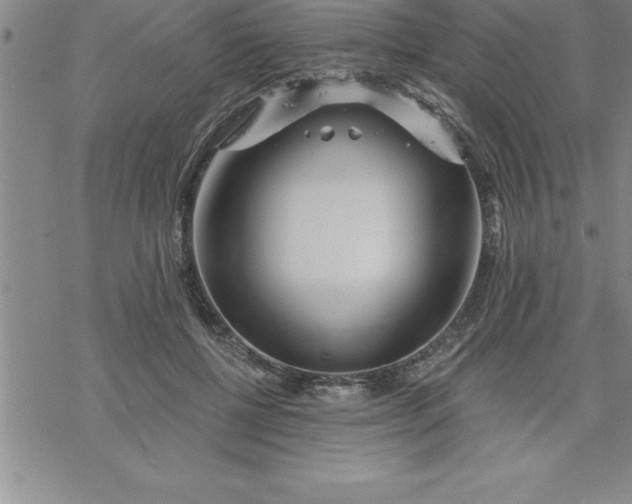 X0000069830552200606021339