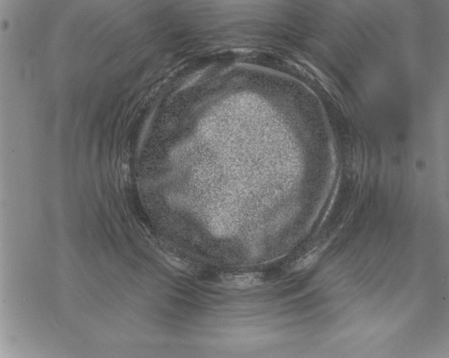 X0000069830553200606021339