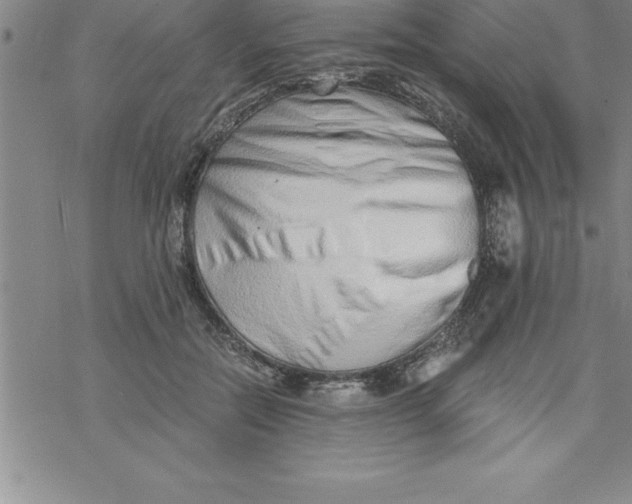 X0000069830554200606021339