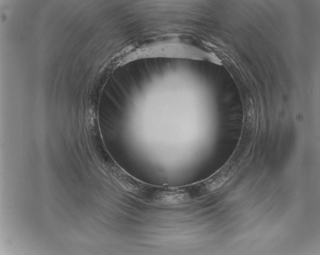 X0000069830555200606021339