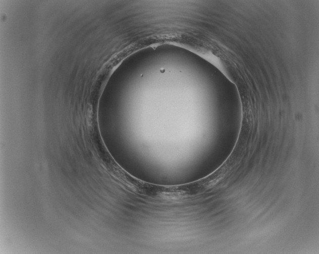 X0000069830556200606021339