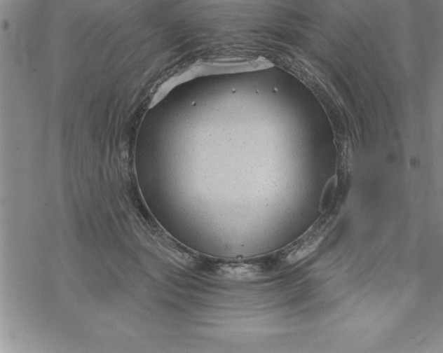 X0000069830557200606021339