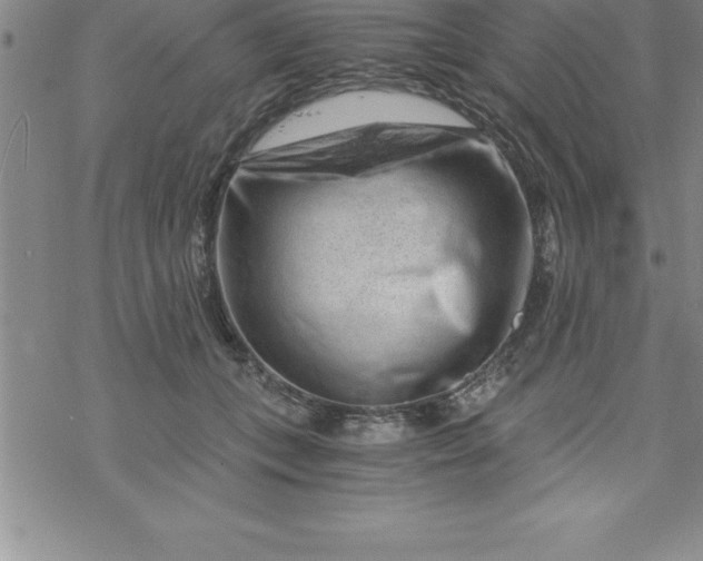 X0000069830559200606021339