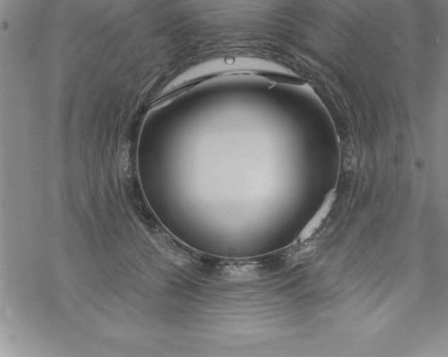 X0000069830560200606021339