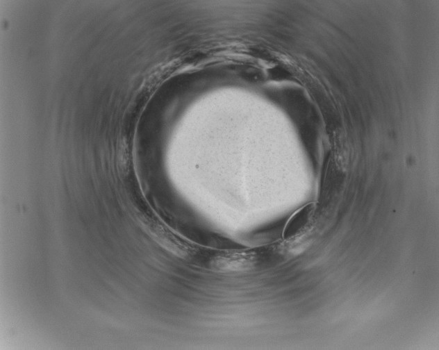 X0000069830563200606021339