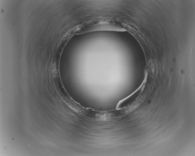 X0000069830564200606021339