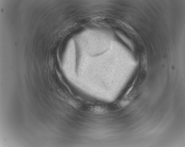 X0000069830565200606021339