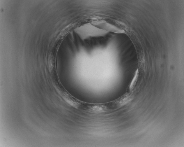 X0000069830566200606021339