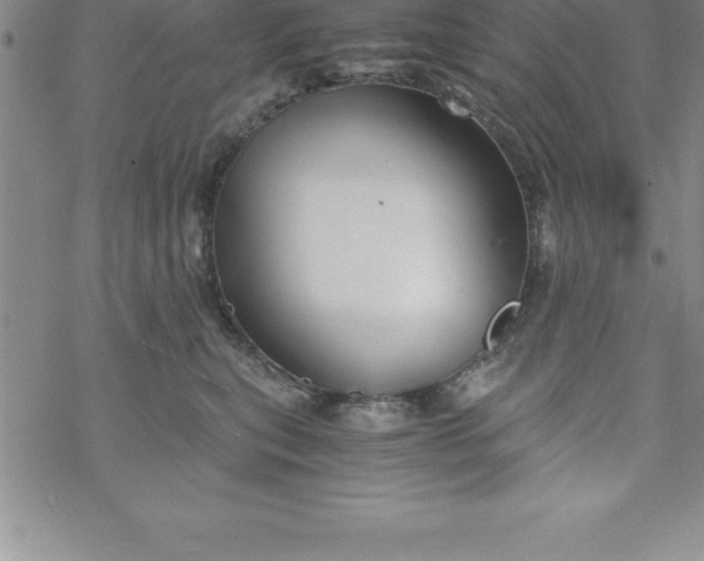 X0000069830567200606021339