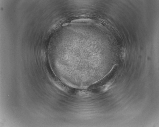 X0000069830568200606021339