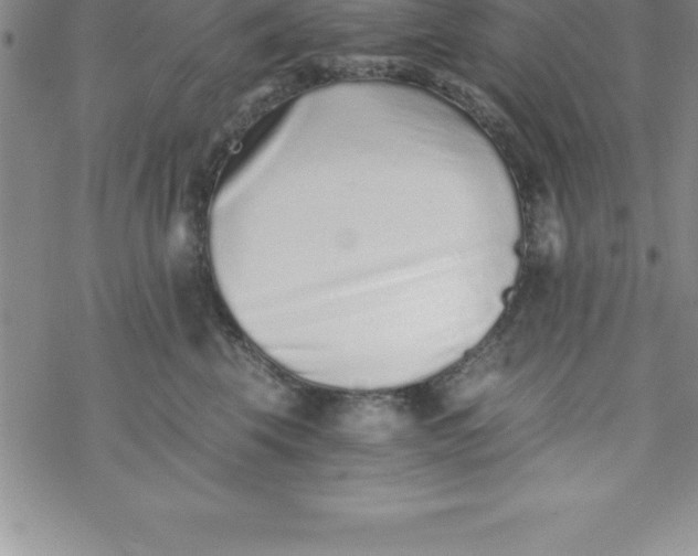 X0000069830569200606021339