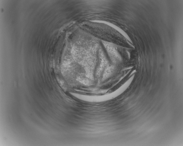 X0000069830570200606021339