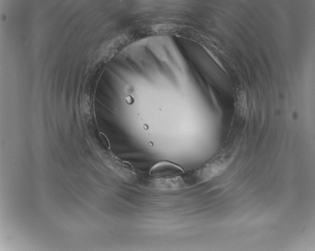 X0000069830571200606021339