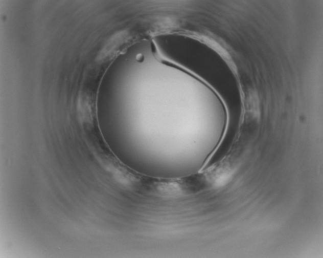 X0000069830572200606021339