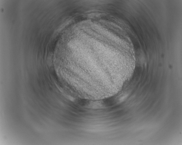 X0000069830573200606021339