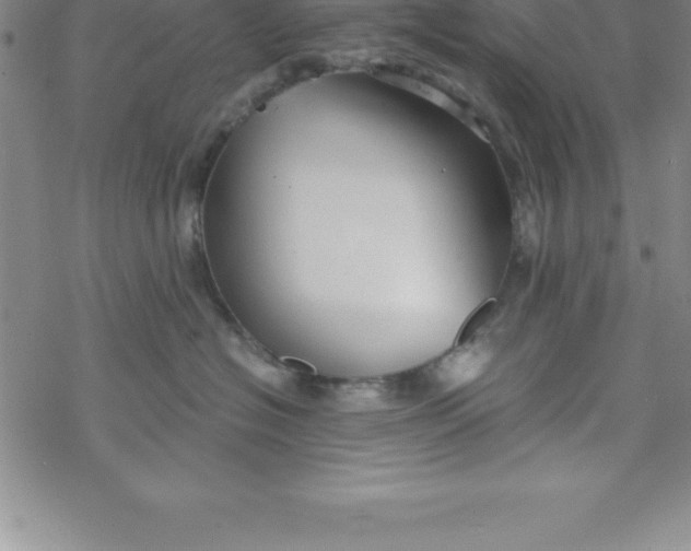 X0000069830574200606021339