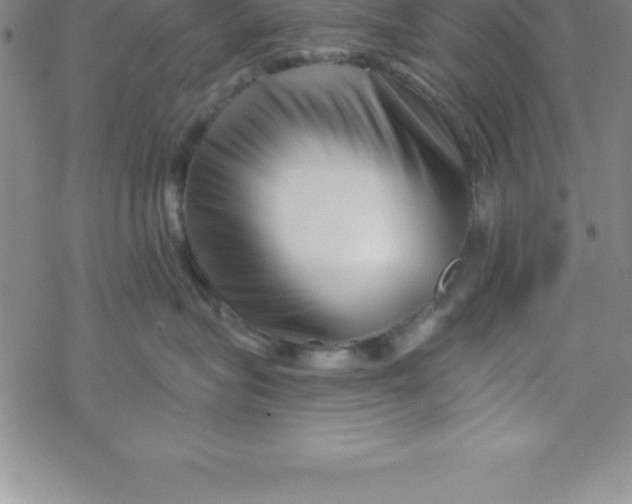 X0000069830575200606021339