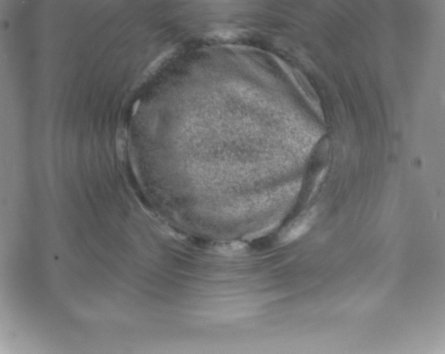 X0000069830576200606021339