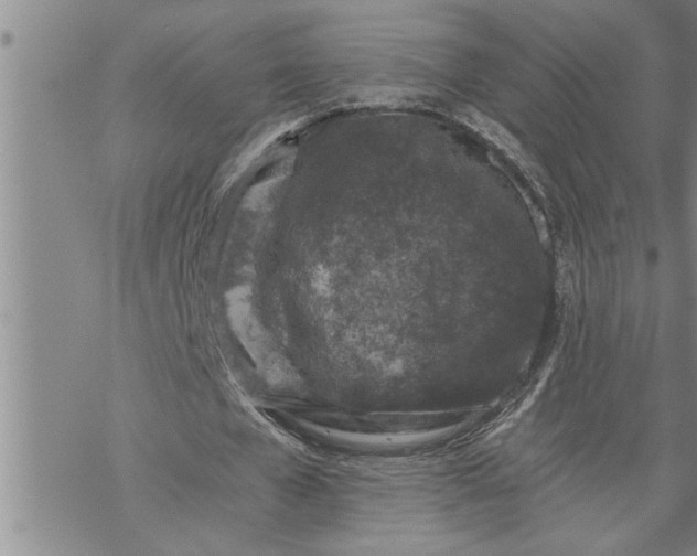 X0000069830577200606021339