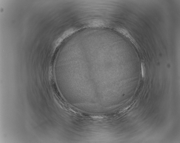 X0000069830579200606021339