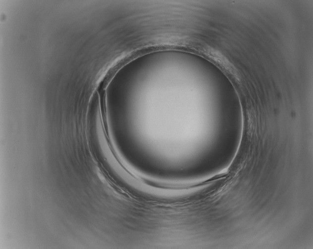 X0000069830580200606021339