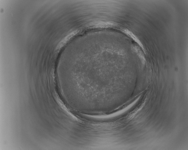 X0000069830581200606021339