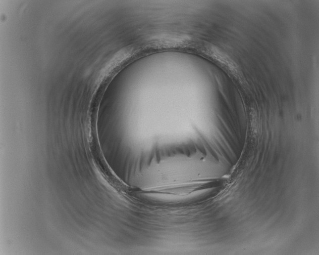 X0000069830582200606021338