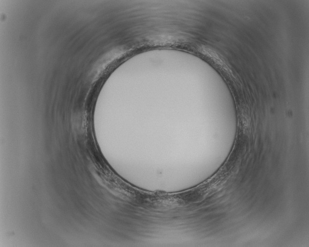 X0000069830583200606021338