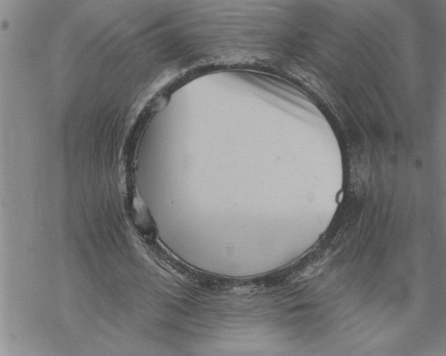 X0000069830584200606021338