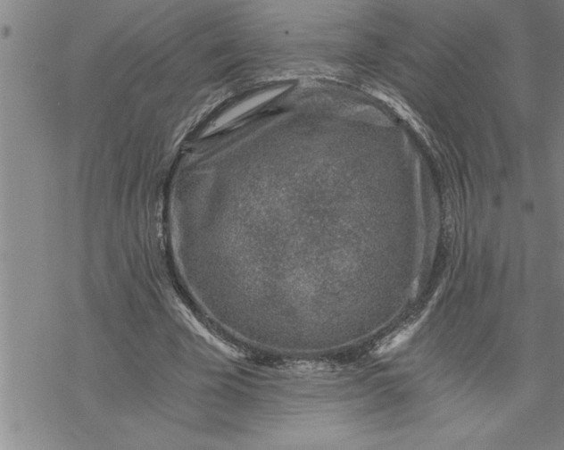 X0000069830585200606021338