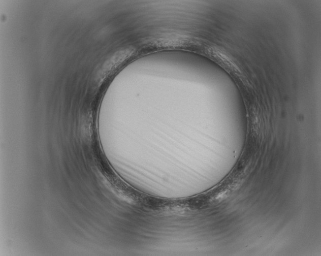 X0000069830586200606021338