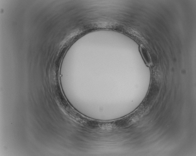 X0000069830587200606021338