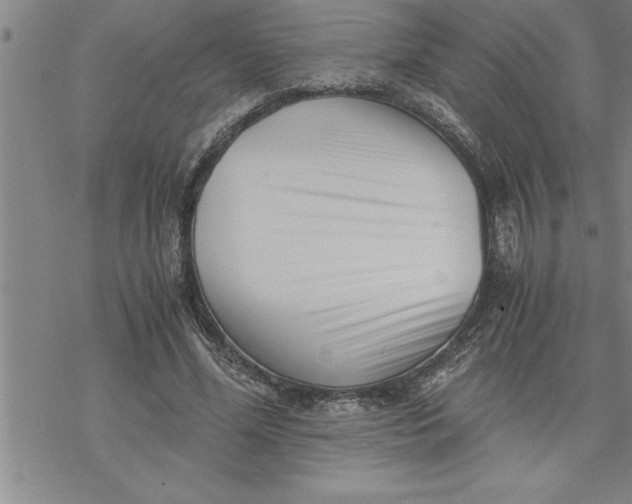 X0000069830588200606021338