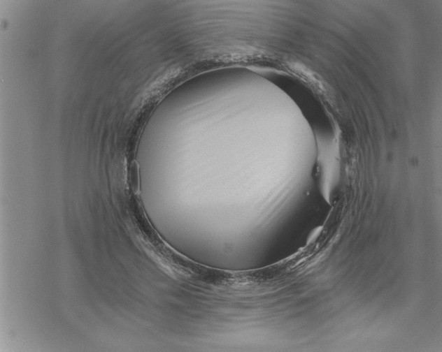 X0000069830589200606021338