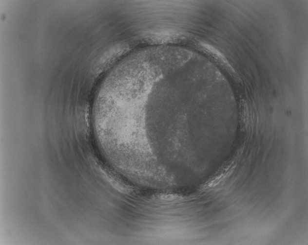 X0000069830590200606021338