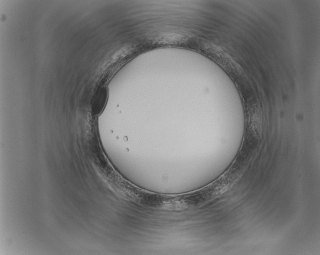 X0000069830591200606021338