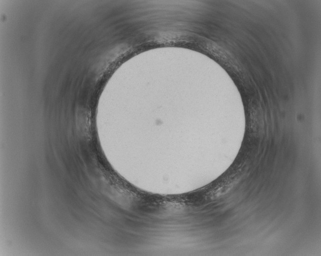 X0000069830592200606021338