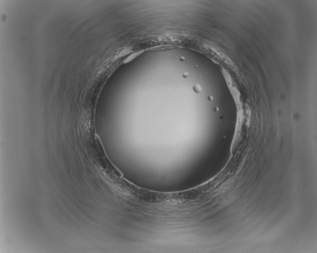 X0000069830593200606021338