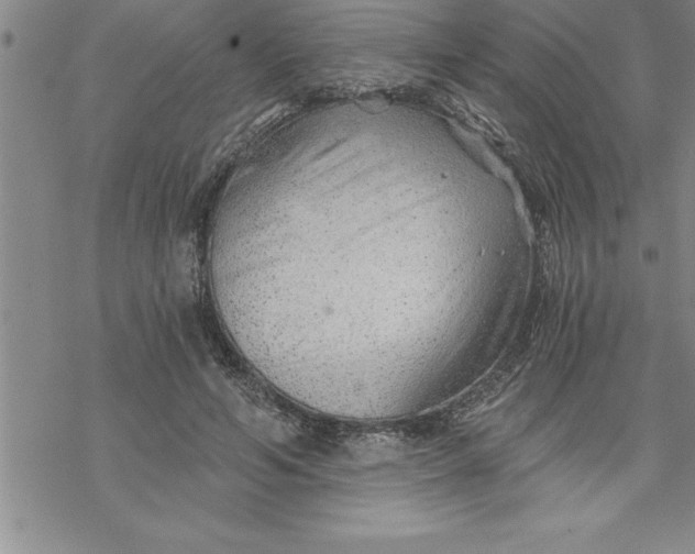 X0000069830594200606021338