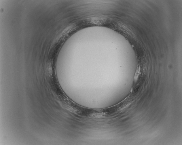 X0000069830595200606021338