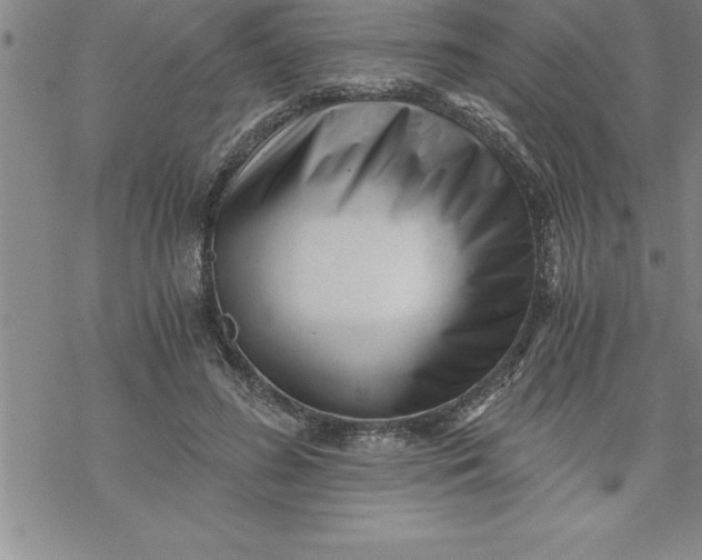 X0000069830596200606021338